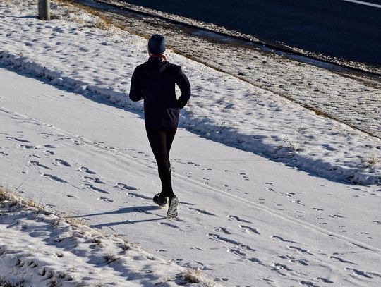 Łosice pobiegną „tropem wilczym”