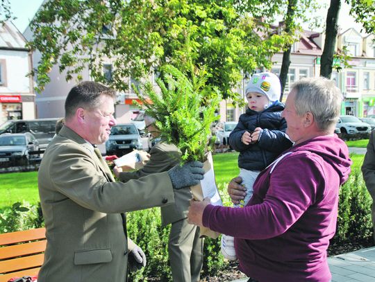 Łosice: Tysiące świerków dla mieszkańców