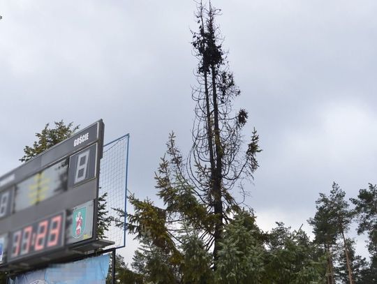 Lubelskie. Pierwszy dzień wiosny świętowali... podpalając drzewo