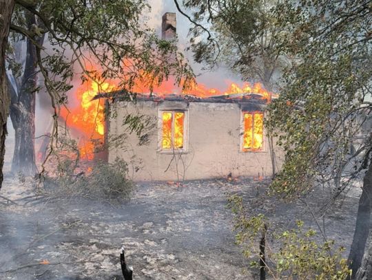 Lubelskie. Ponad 20 hektarów lasów w płomieniach [ZDJĘCIA]