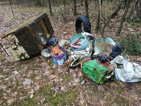 Miasto/Gmina Biała Podlaska: Śmietnik w środku lasu