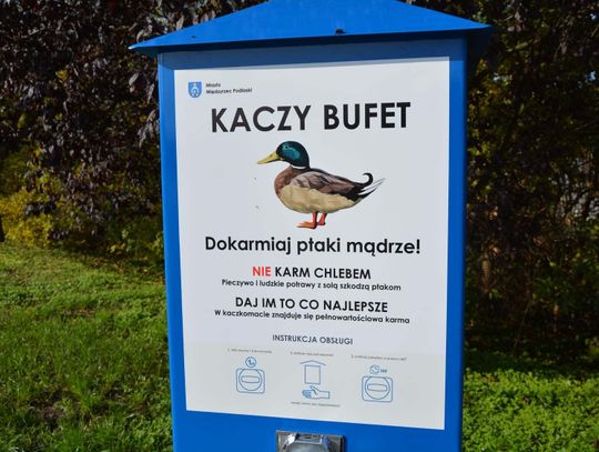 Międzyrzec Podlaski: Kaczy bufet stanął na promenadzie