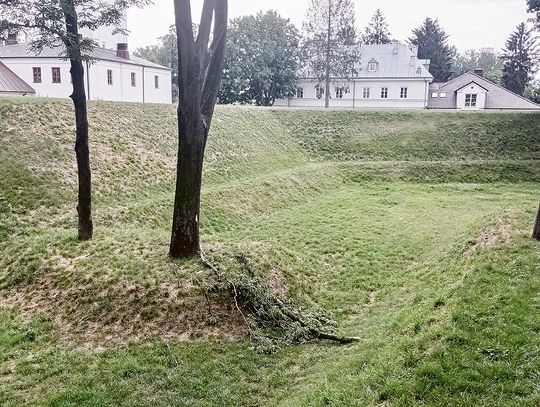 Mieszkańcy oburzeni pomysłem płoszenia ptaków. "Co dalej? Eksmisja wiewiórek?"