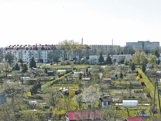 Mieszkania na wynajem w ramach SIM będą, ale miasto wciąż konsultuje temat