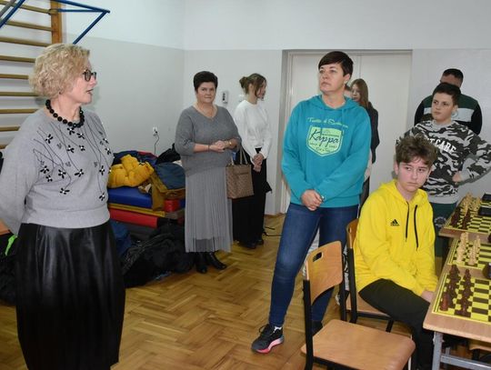 Misie dobrze grają w szachy