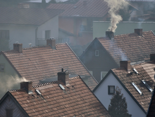 Sąsiad pali śmieciami! Dzięki aplikacji mObywatel możesz to zgłosić