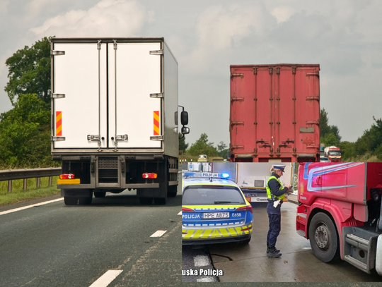 Na drogi wraca wyścig słoni. Ale tylko nocą