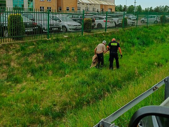 Nie wiedział, gdzie jest. Strażnicy miejscy pomogli mu trafić do domu
