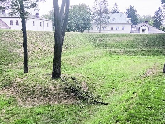 Niebezpieczne konary w Parku Radziwiłłowskim czekają na wycięcie