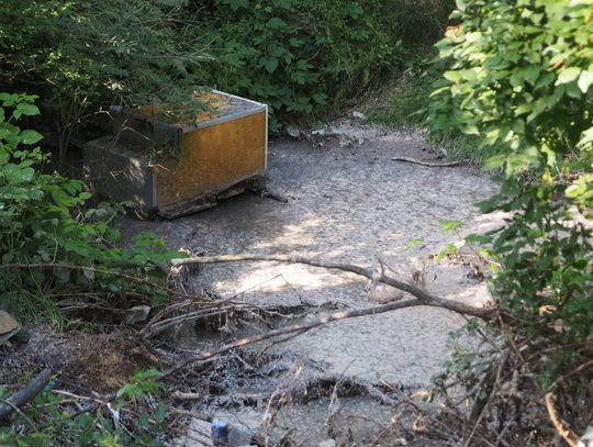 Nielegalny wywóz szamba i dzikie wysypisko śmieci na skraju lasu!