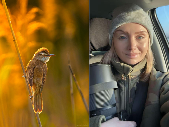 Niezwykły kadr z Okuninki doceniony w międzynarodowym konkursie [ZDJĘCIA]