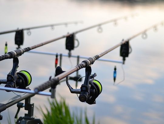 Od czego zacząć swoją przygodę z wędkarstwem?