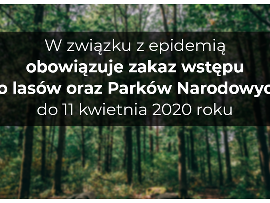 Od dziś zakaz wstępu do lasów