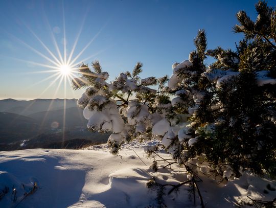 Odkrywamy Bieszczady zimą: przewodnik po feriach w mniej znanych miejscach