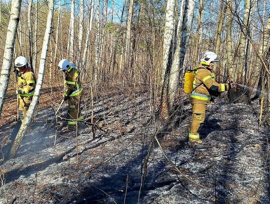 Lubelskie. Ogień pełzał w stronę lasu w Bononii! Pilot i strażacy uratowali gminę Goraj przed katastrofą Lubelskie. Ogień pełzał w stronę lasu w Bononii! Pilot i strażacy uratowali gminę Goraj przed katastrofą