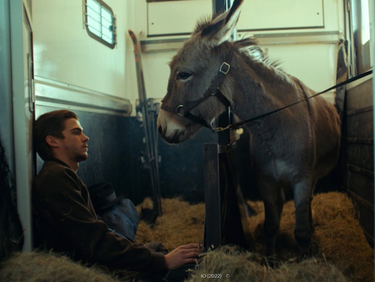 Oscary 2023. "IO" bez statuetki. Zagrał w nim aktor pochodzacy z Łomaz