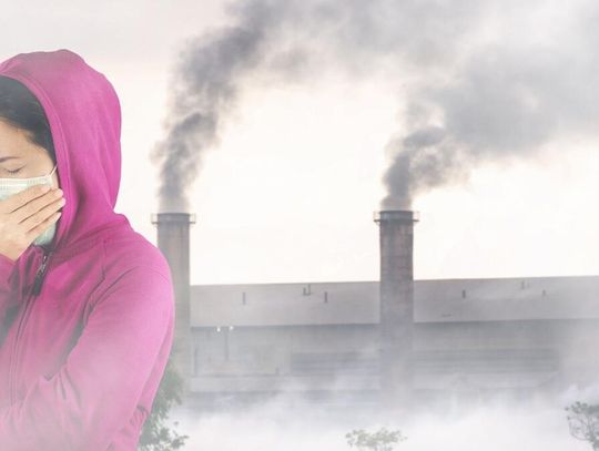 Oszustwo na... Czyste Powietrze. Naciągacze zastawiają pułapki