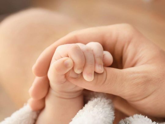 Jak działa państwowe in vitro?