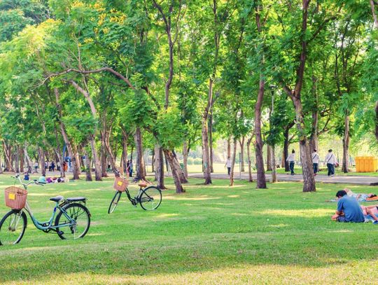 Park Miejski Września: Relaks i odpoczynek w zielonej oazie