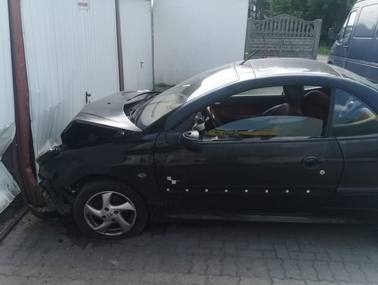 Zdemolowła znak, auto i garaż. Potem próbowała ukryć się w krzakach