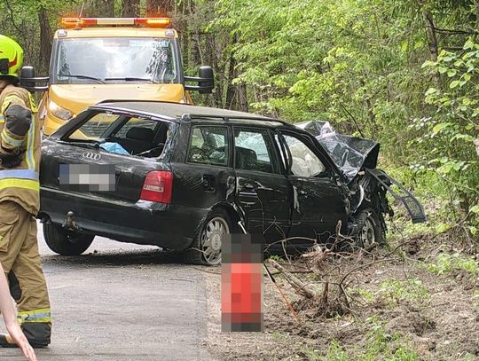 Pijany kierowca Audi uderzył w drzewo i uciekł z miejsca wypadku Pijany kierowca Audi uderzył w drzewo i uciekł z miejsca wypadku