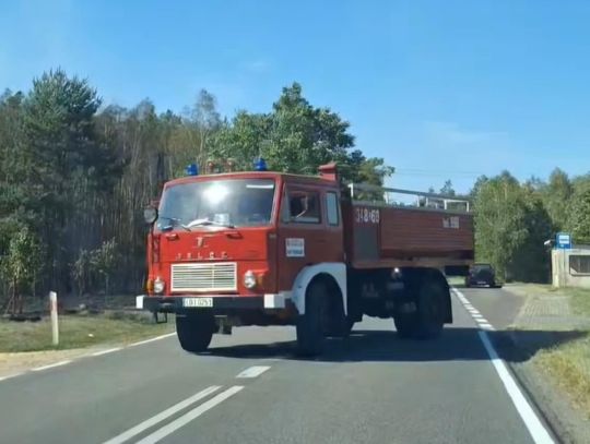 [PILNE] Pożar lasu. Trwa akcja gaśnicza. Wahadło na drodze wojewódzkiej 812 [FILM]