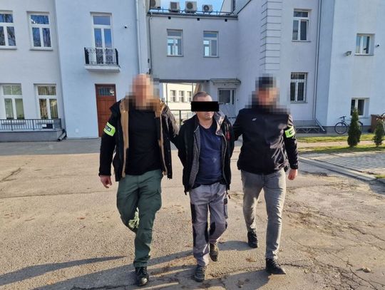 Narkotykowy magazyn w piwnicy. 42-latek zatrzymany z 1,5 kg narkotyków [FILM]