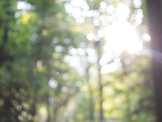 Pogoda na czwartek. IMGW wydało ostrzeżenia II stopnia