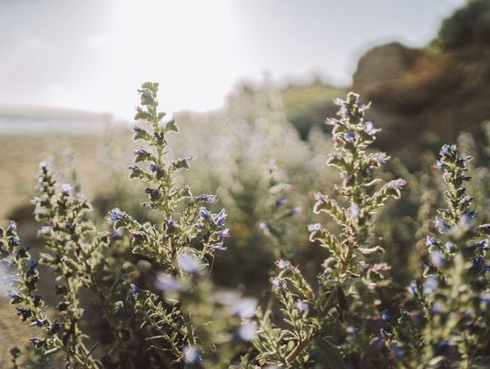 Pogoda na czwartek. Czeka nas spokojny i ciepły dzień