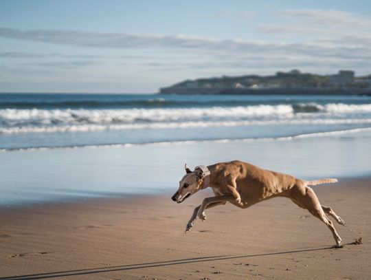 Pogoda na czwartek. Sprawdź, jaka będzie aura