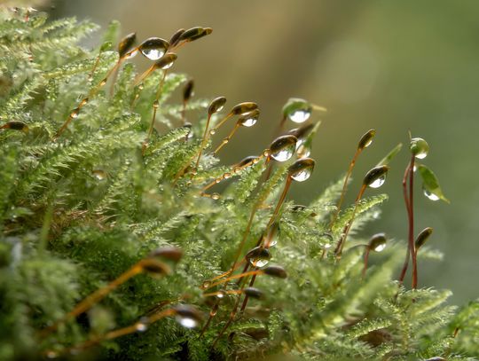 Pogoda na czwartek. Sprawdź, jaka będzie aura