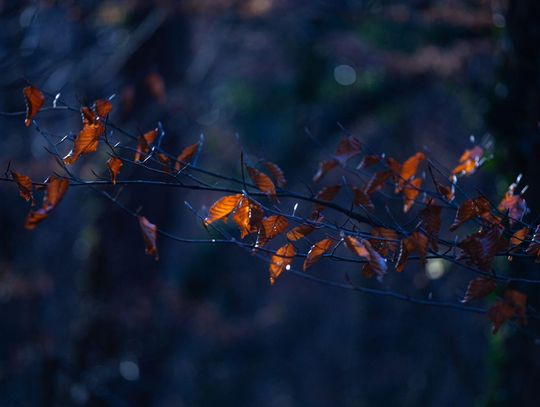 Pogoda na czwartek. Sprawdź, jaka będzie aura