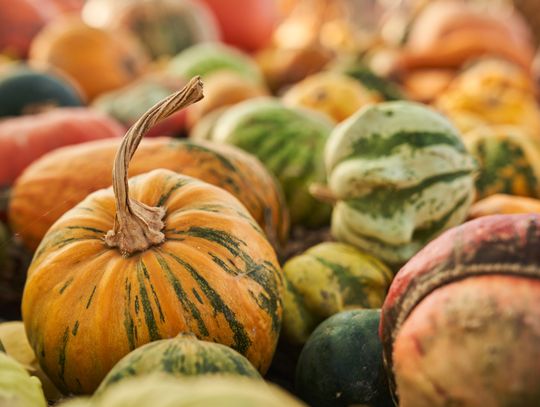 Pogoda na czwartek. Sprawdź, jaka będzie aura