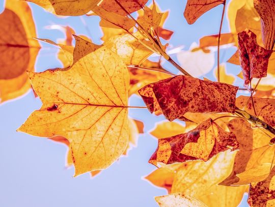 Pogoda na czwartek. Sprawdź, jaka będzie aura