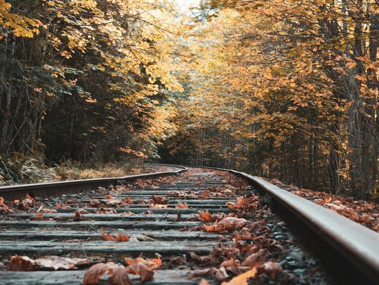 Pogoda na czwartek. Sprawdź, jaka będzie aura