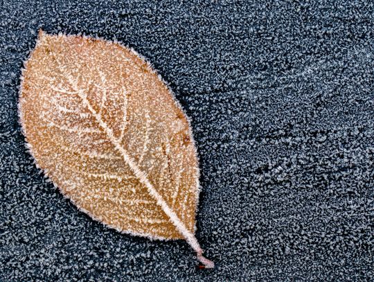 Pogoda na czwartek. Sprawdź, jaka będzie aura