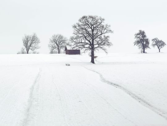 zima prognoza pogody śnieg biała podlaska