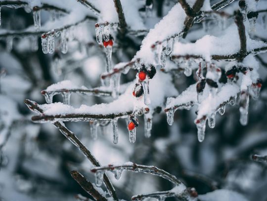 Pogoda na czwartek. Sprawdź, jaka będzie aura