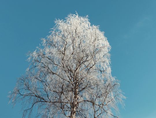 Pogoda na czwartek. Sprawdź, jaka będzie aura