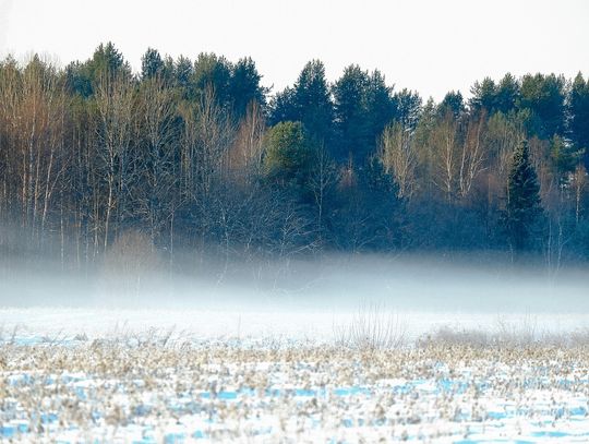 prognoza pogody pogoda powiat bialski łosicki parczewski radzyński łukowski