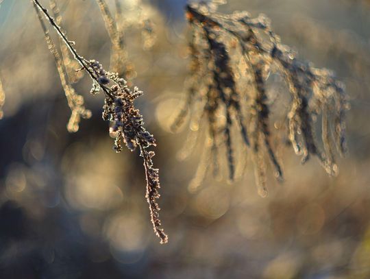 Pogoda na czwartek. Sprawdź, jaka będzie aura