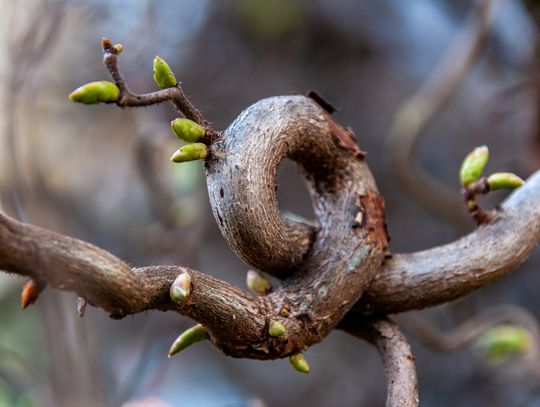 Pogoda na czwartek. Sprawdź, jaka będzie aura