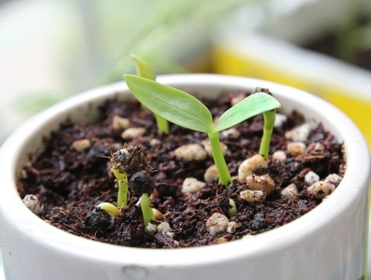 Pogoda na czwartek. Sprawdź, jaka będzie aura Pogoda na czwartek. Sprawdź, jaka będzie aura
