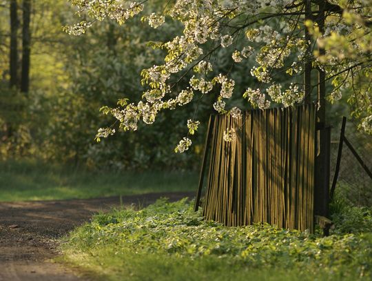 Pogoda na czwartek. Sprawdź, jaka będzie aura