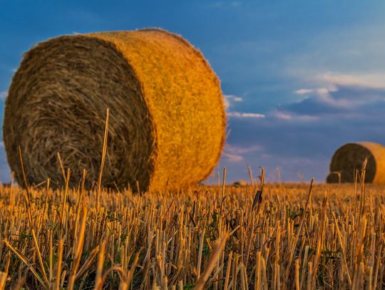 Prognoza pogody na czwartek. Sprawdź, jaka będzie aura