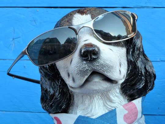 Pogoda na czwartek. Sprawdź, jaka będzie jutro aura