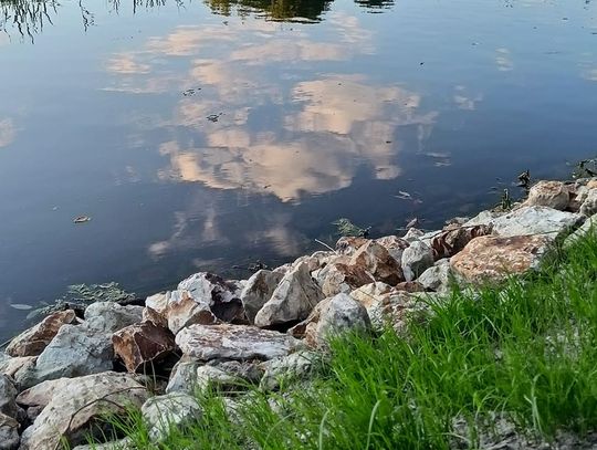 Pogoda na czwartek. Sprawdź, jaka będzie jutro aura