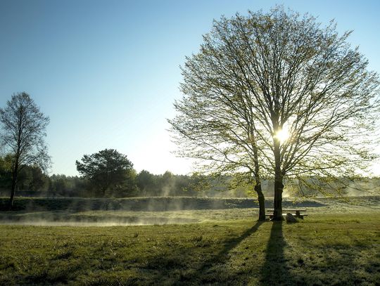 Pogoda na czwartek. Sprawdź, jaka będzie aura