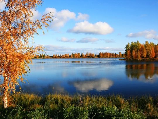 Pogoda na czwartek. Sprawdź, jaka czeka nas aura!