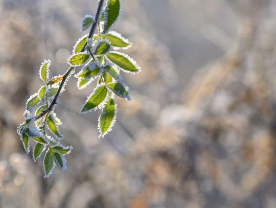 Pogoda na piątek. Rekordowe przymrozki!